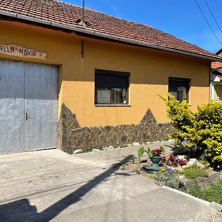 Balla House Bed & Breakfast Tărcaia Exterior photo