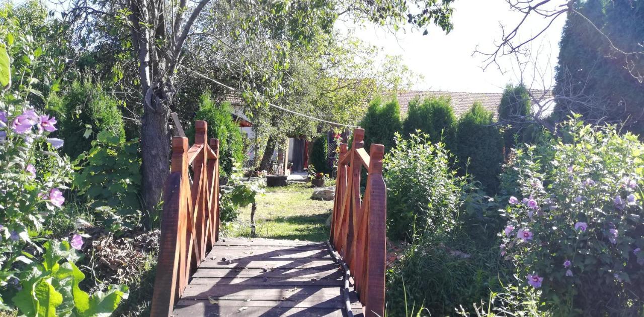 Balla House Bed & Breakfast Tărcaia Exterior photo
