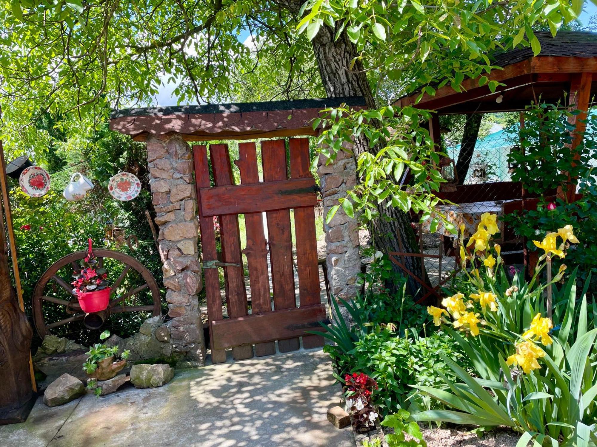 Balla House Bed & Breakfast Tărcaia Exterior photo