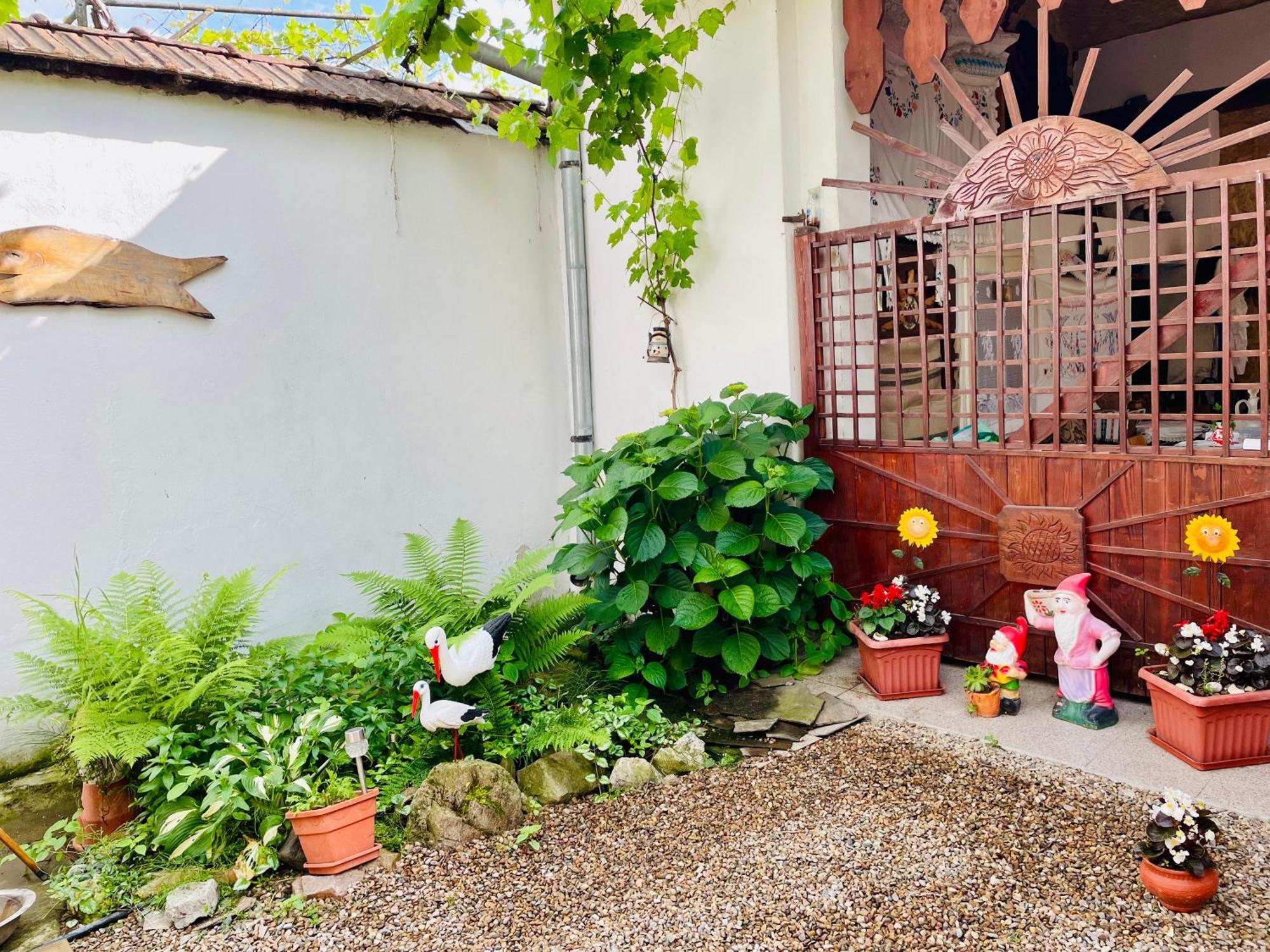 Balla House Bed & Breakfast Tărcaia Exterior photo