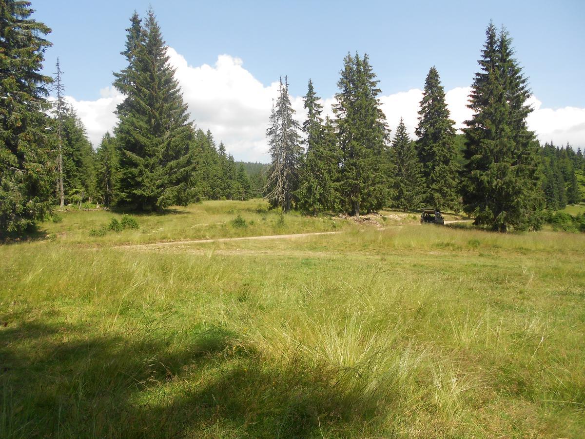 Balla House Bed & Breakfast Tărcaia Room photo